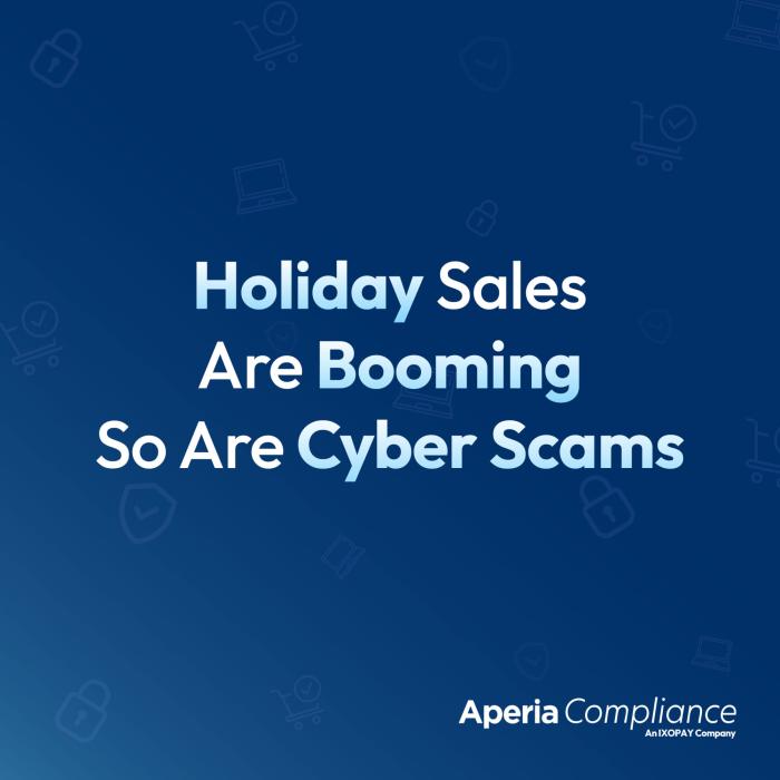 Holiday Sales are Booming - So are Cyber Scams